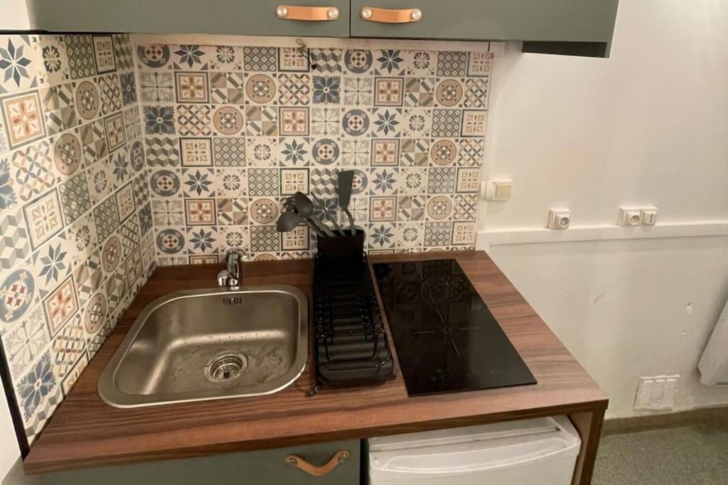 Charmant Studio 2 Pieces Apartment Гренобъл Екстериор снимка
