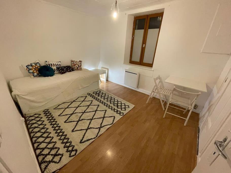 Charmant Studio 2 Pieces Apartment Гренобъл Екстериор снимка